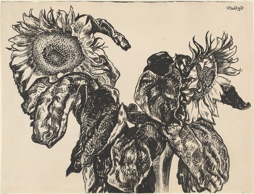 Sunflowers