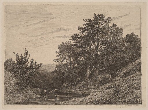 Herd in a Stream