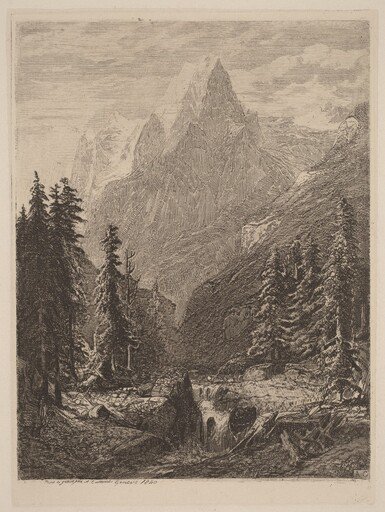 Mountain Meadow