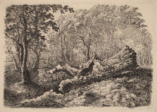 Mouldering Tree Trunk