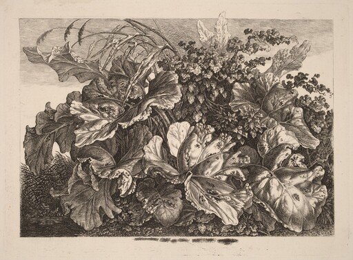 Foliage Study with Reed and Hops