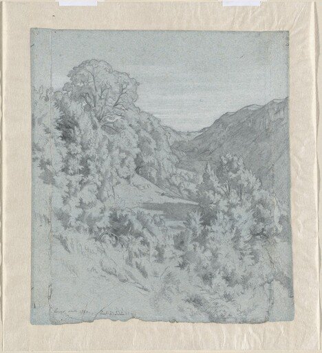 Sunlit Trees in a Valley near Lacoux