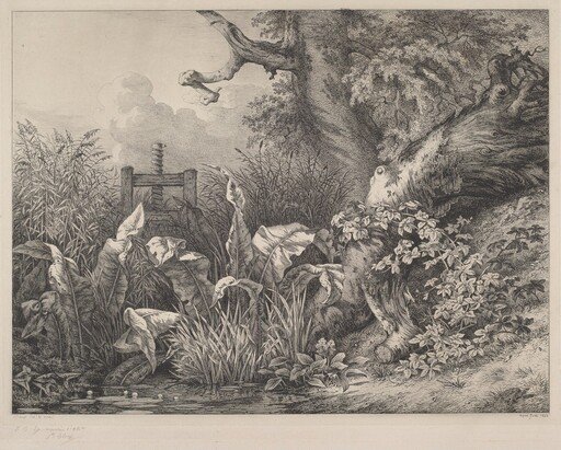 Water Dock and Brambles at a Sluice