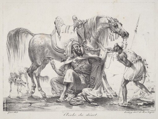Arabe du désert (Desert Arab)