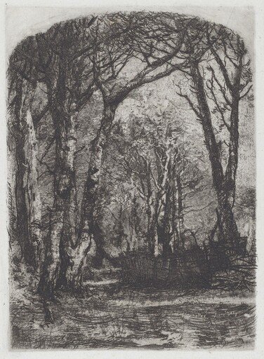Bosco [Woods]