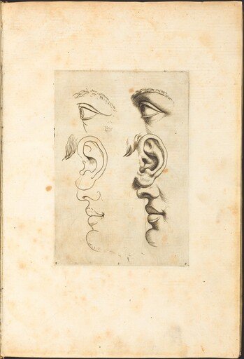 Print from Drawing Book