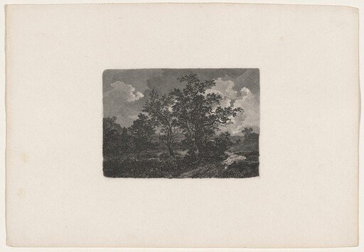 Nocturnal Landscape