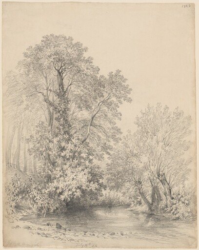 Trees by the River at Castle Bromwich