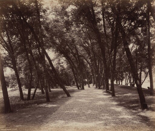 Picnic Grounds