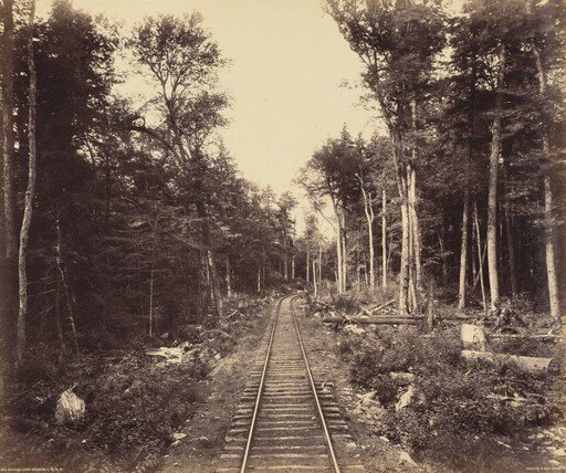 Ganoga Lake Branch