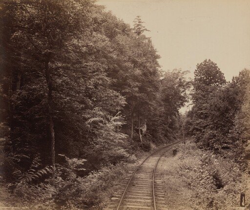 Musconetcong Glen