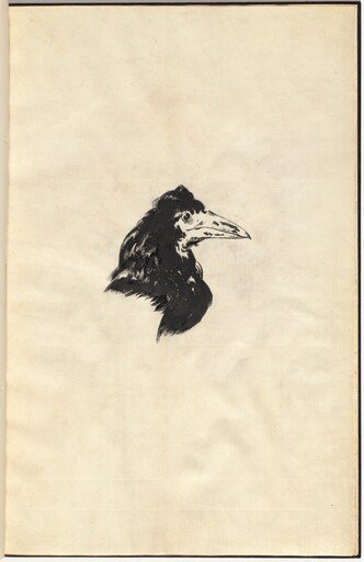Le Corbeau (The Raven)