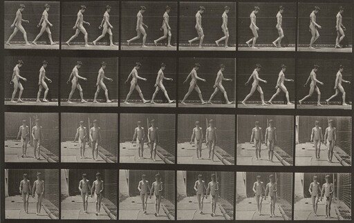Plate Number 12. Walking