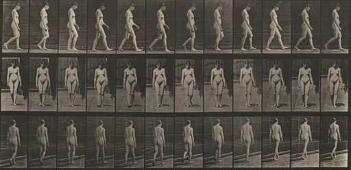 Plate Number 13. Walking