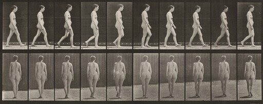 Plate Number 15. Walking