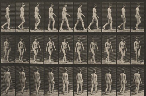 Plate Number 16. Walking