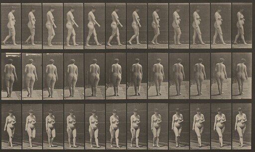 Plate Number 18. Walking, left hand across abdomen