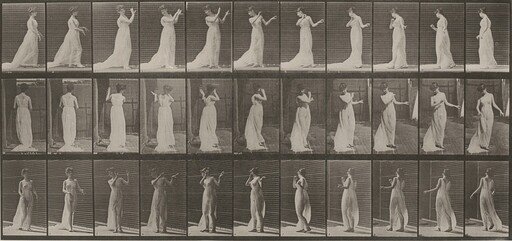 Plate Number 55. Walking and turning around, action of aversion