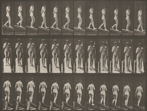 Plate Number 116. Descending an incline with one hand on chin
