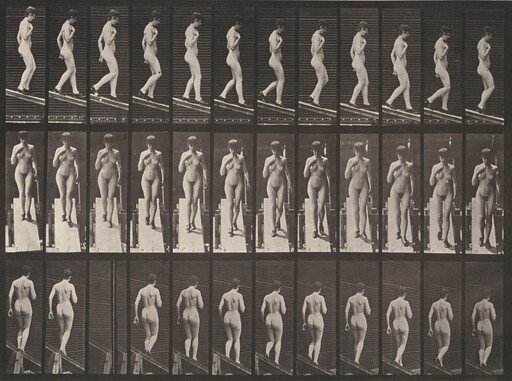 Plate Number 119. Descending an incline with right hand on breast