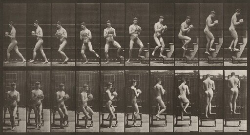 Plate Number 151. Descending a stepladder and turning around with a rock in hands