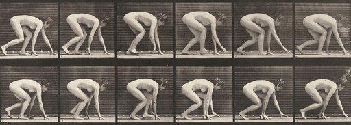 Plate Number 183. Walking on hands and feet