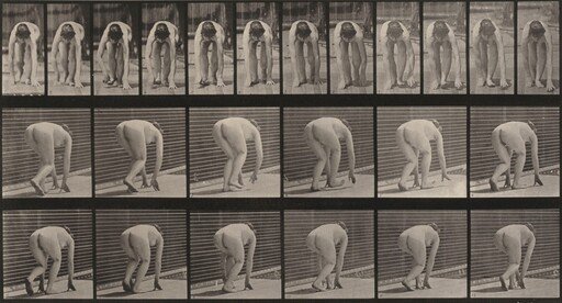 Plate Number 184. Walking on hands and feet