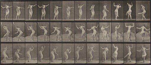 Plate Number 191. Dancing (fancy)