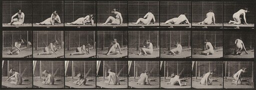 Plate Number 266. Turning and changing position while on the ground