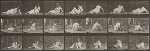 Plate Number 267. Turning and changing position while on the ground