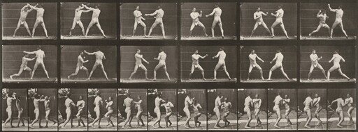 Plate Number 329. Boxing