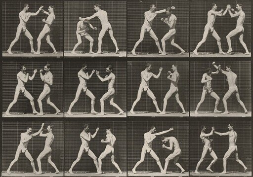 Plate Number 336. Boxing, open hand
