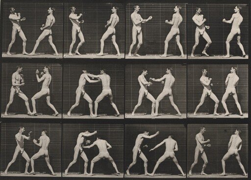 Plate Number 338. Boxing, open hand