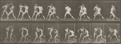 Plate Number 342. Boxing, open hand