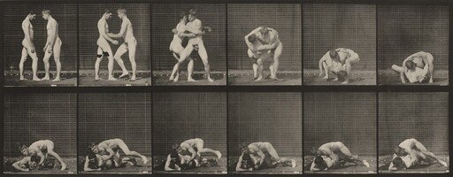 Plate Number 345. Wrestling, lock
