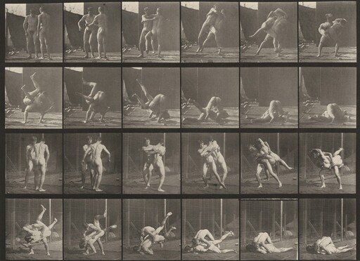 Plate Number 348. Wrestling, Graeco-Roman