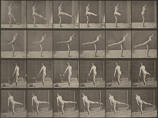 Plate Number 370. First ballet action