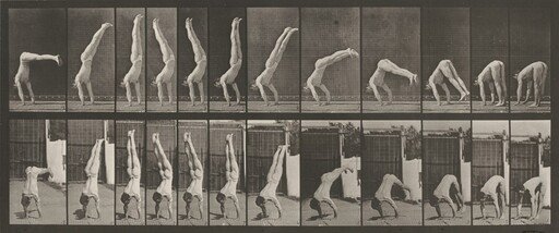 Plate Number 371. Acrobat, vertical "press up"