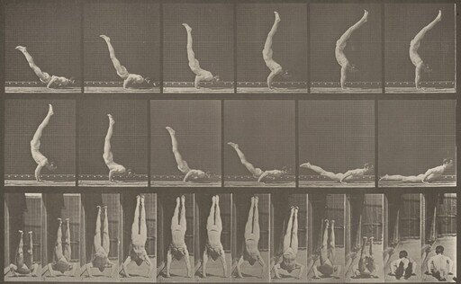 Plate Number 372. Acrobat, horizontal "press up"