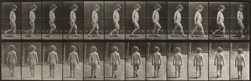 Plate Number 467. Child walking