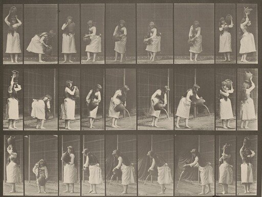 Plate Number 516. Miscellaneous movements with a water jar