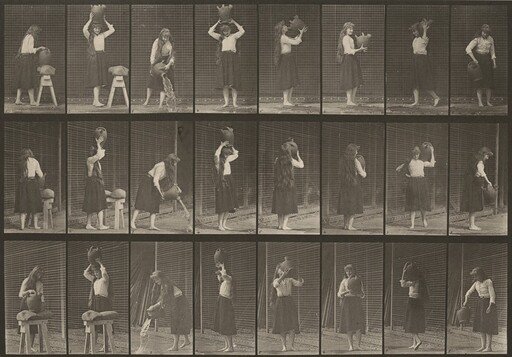 Plate Number 517. Miscellaneous movements with a water jar
