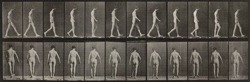 Plate Number 546. Locomotor ataxia, walking