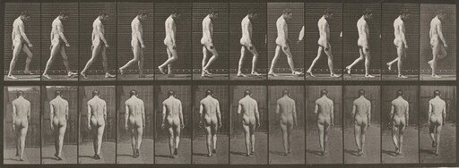Plate Number 549. Locomotor ataxia, walking