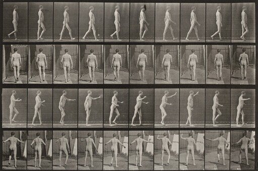 Plate Number 550. Locomotor ataxia, walking. A: Arms down. B: Arms up