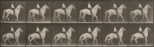 Plate Number 577. "Clinton" walking, mounted, irregular