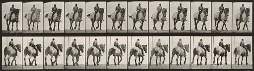 Plate Number 578. "Dusel" walking, bareback