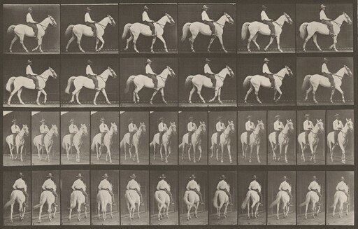 Plate Number 579. "Elberon" walking, saddled