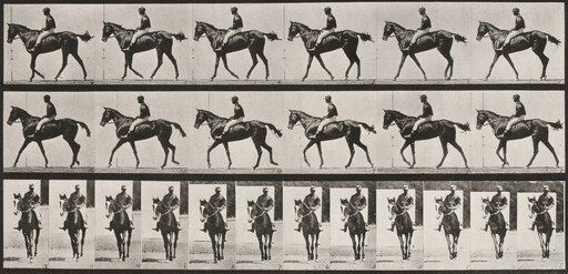 Plate Number 580. " Annie G." walking, saddled