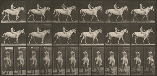 Plate Number 581. "Smith" walking, bareback; rider nude